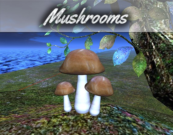 Mushrooms  