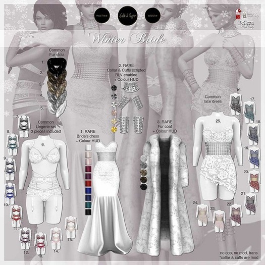 S&P Winter Bride lace dress 23.rose Lara (rez to unpack)