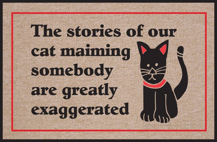 cat door mat 2
