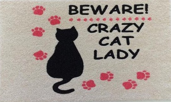 cat door mat 10