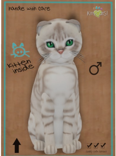 KittyCatS Box - Australian Mist - Blue Marble