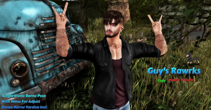 Guy's Rawrks 