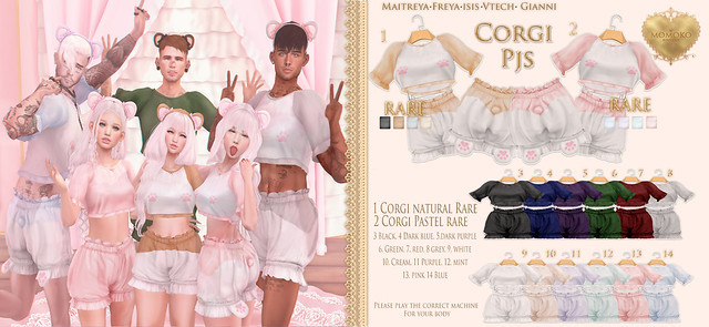 {Momoko} Corgi Lara - Natural RARE