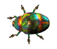 Jewel Beetle Avatar