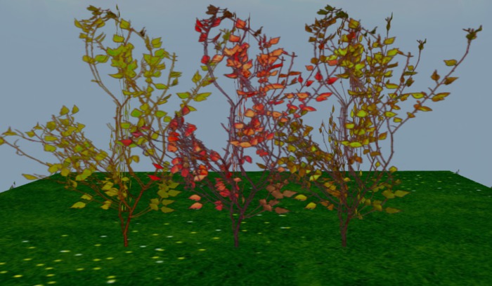 autumn hedge
