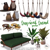 13.Florix. Tropical Trend Gacha - Modern Wood Sofa RARE