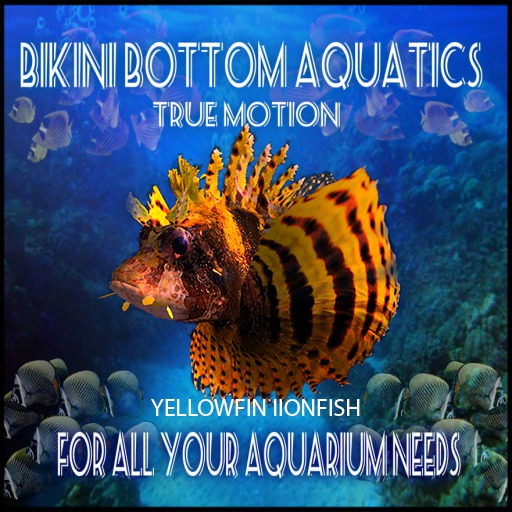 TM Yellowfin Lionfish Sb