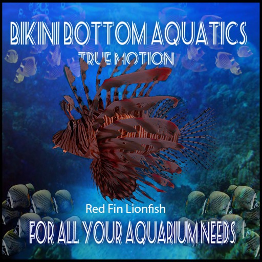 TM Red Lionfish Sb