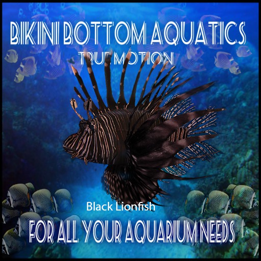 TM Black Lionfish Sb