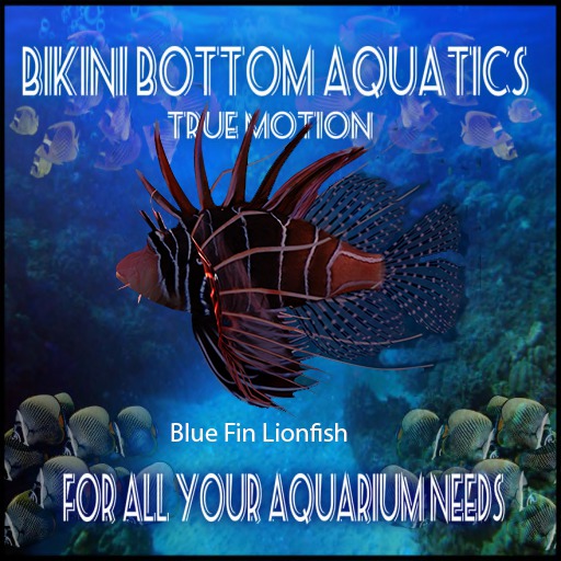 TM Blue Fin Lionfish  Sb