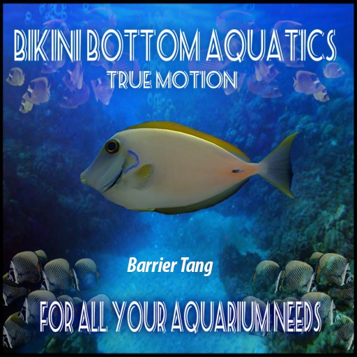 TM Barrier Tang  Sb