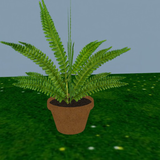 POTTED FERN 2