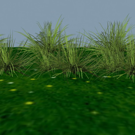 grass cluster