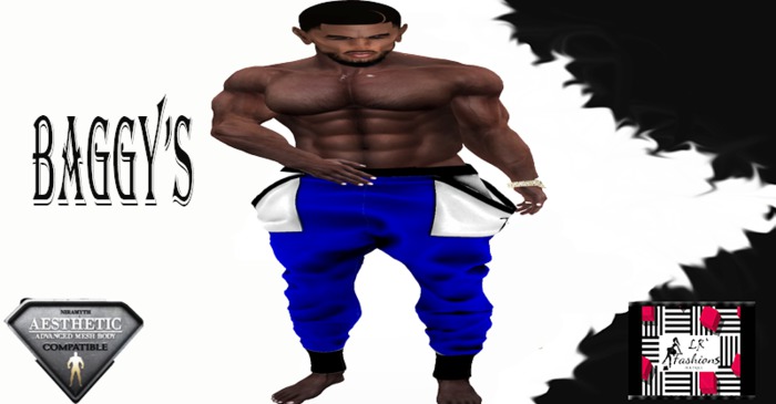 MENS BAGGY LR PANTS (AESTHETIC) BLU
