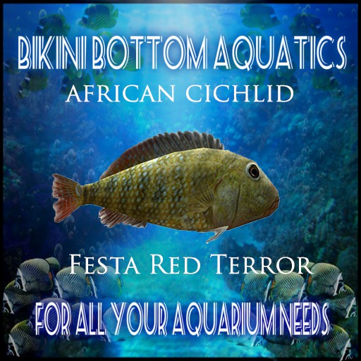 TM Festa Red Terror Sb
