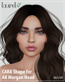 Cara Shape for AK Morgan Head