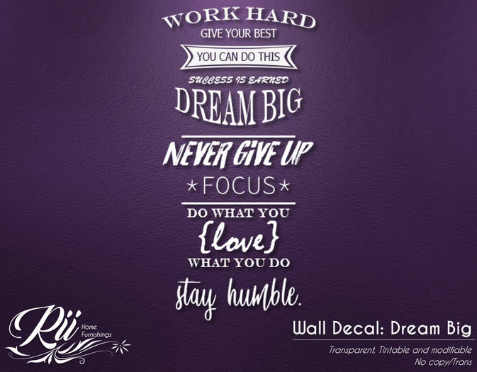 Inspirational Wall Decal: Dream Big