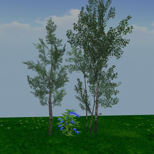 Mesh Aspen Tree_