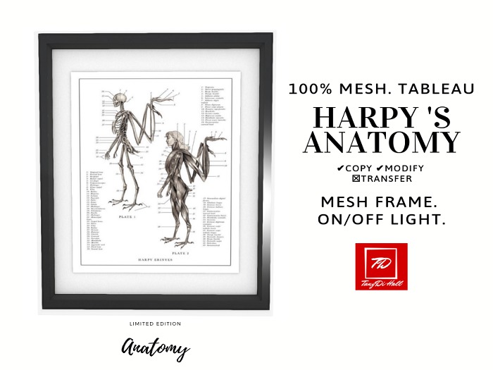 Frame. Harpy 's Anatomy. ON/OFF