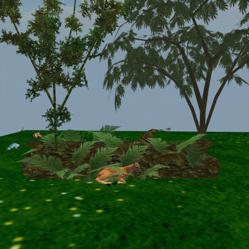 resting fawn with butterflys