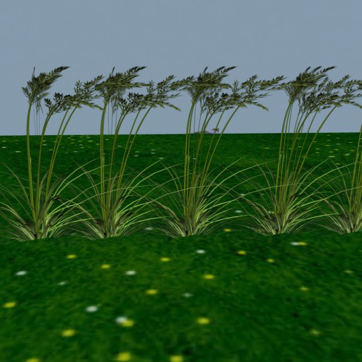 PRAIRIE GRASS 2