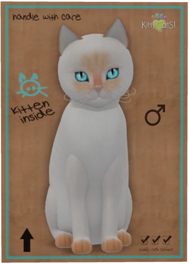 KittyCatS Box - Siamese - Flame