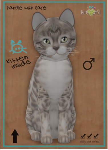 KittyCatS Box - Bengal - Snow