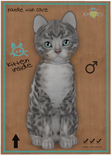 KittyCatS Box - Bengal - Silver