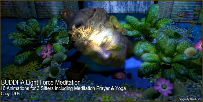 Sleeping Buddha Light force Meditation 3 Sitters TRANSFAug 2019