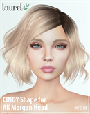 Cindy Shape for AK Morgan Head