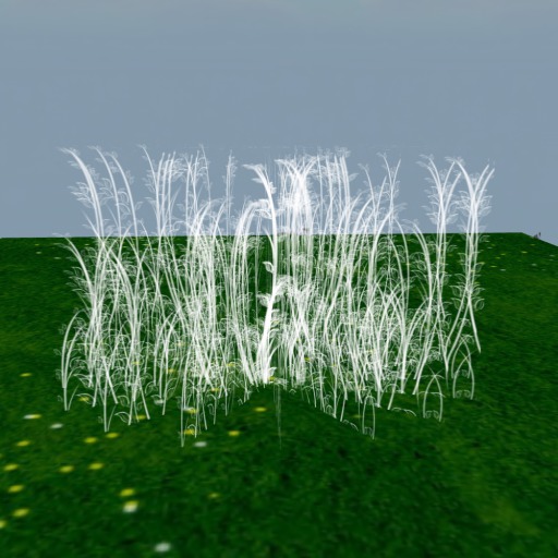 ] Fairy Light Grass