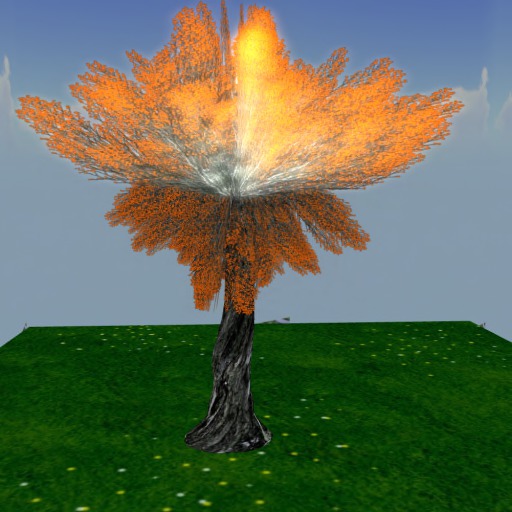 fairy tree orange