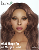 Opal Shape for AK Morgan Head