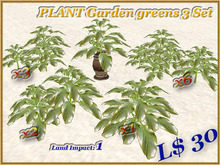 PLANT - Garden greens v3 Set (1 LI) (Full perm)