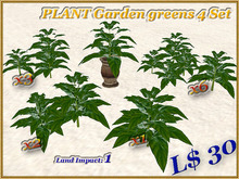 PLANT - Garden greens v4 Set (1 LI) (Full perm)