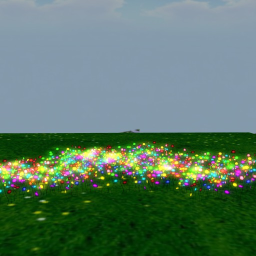 fairy grass