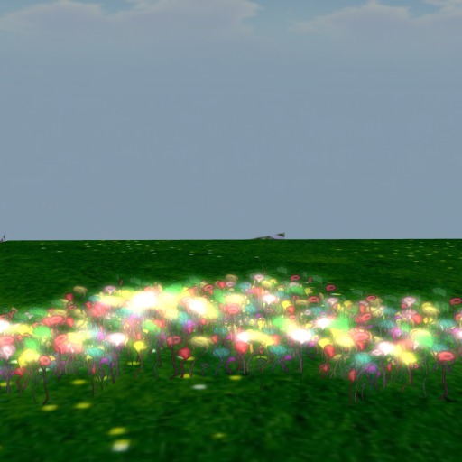 fairy grass 4