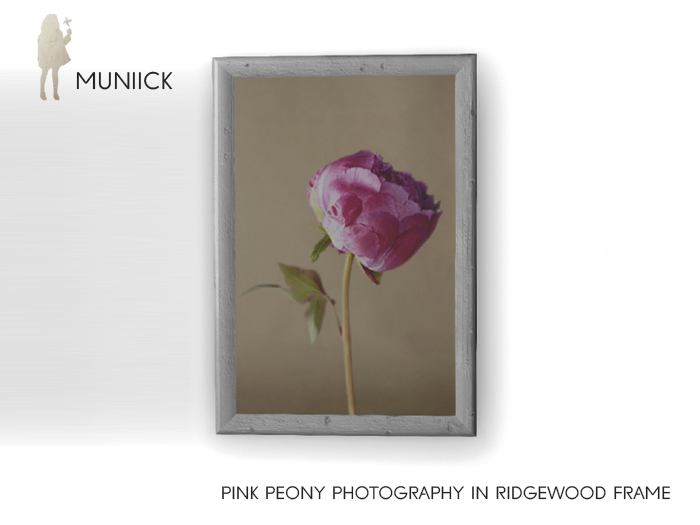 Muniick Pink Peony in Ridgewood Frame (add me)