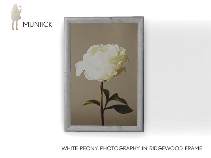 Muniick White Peony in Ridgewood Frame