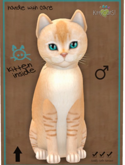 KittyCatS Box - Burmilla - Red Silver Shaded