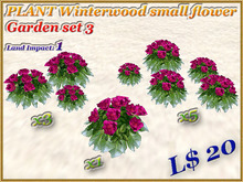 PLANT Winterwood small flower Garden set 3