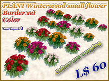 PLANT Winterwood small flower Border set Color