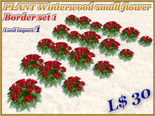 PLANT Winterwood small flower Border set 1 (1 LI)