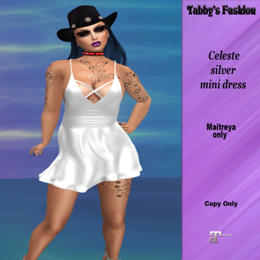 Celeste silver Mini Dress 