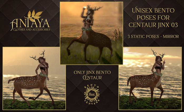 :: ANTAYA :: Unisex bento poses for centaur Jinx 03 (wear me)
