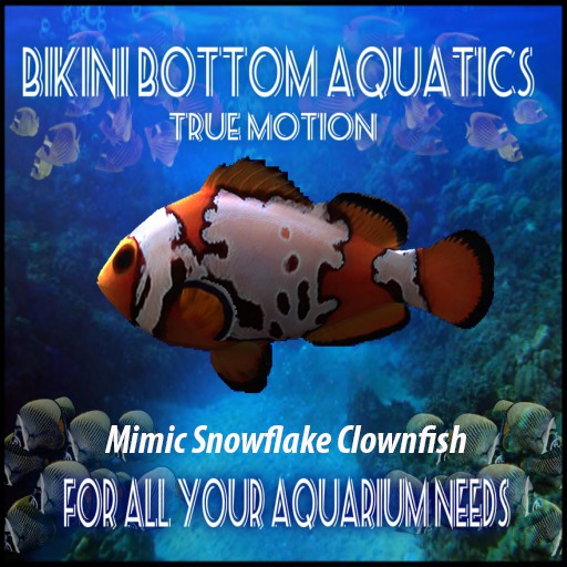 TM Mimic Snowflake Clownfish  Sb
