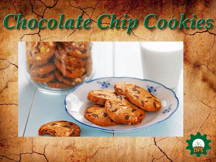 DFS Texture Chocolate Chip Cookies