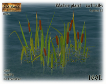 Water plant - cattails - Old World 