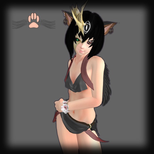 [P&C] Raven Top (Kemono)