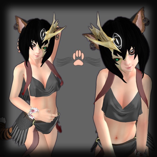 [P&C] Raven Top (Kemono / Fitted Torso)